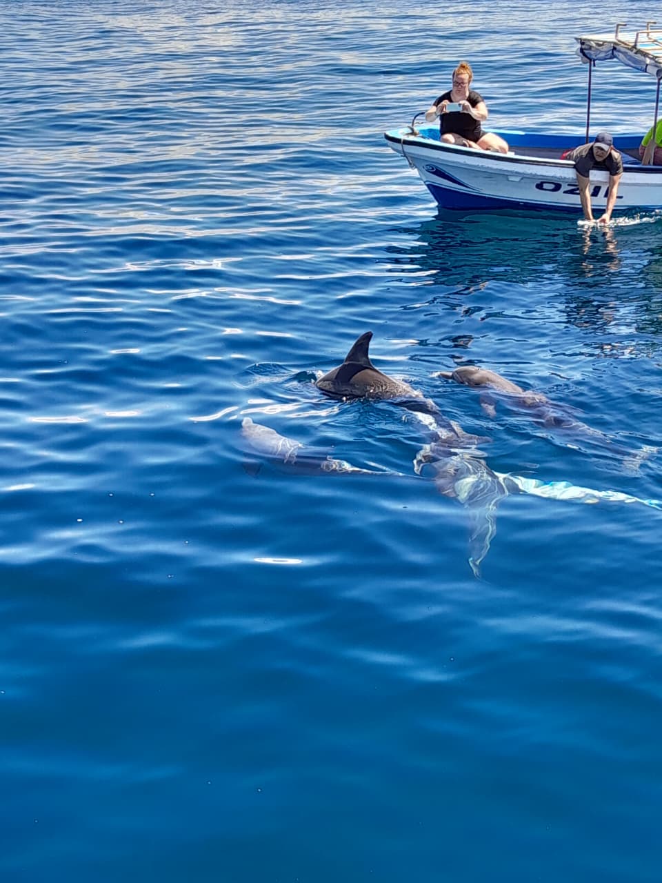 Marine Park VIsit